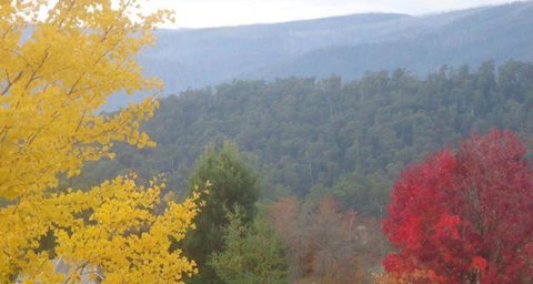 Goldberryaccommodation - Accommodation Gold Coast 6