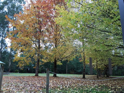 Goldberryaccommodation - Accommodation Gold Coast 1