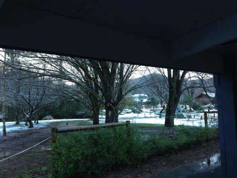 Goldberryaccommodation - Accommodation Gold Coast 2