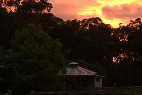 Ionaforest Yurt & Shepherds Hut - Accommodation Gold Coast 4