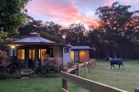 Ionaforest Yurt & Shepherds Hut - Accommodation Gold Coast 3