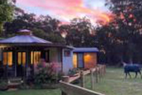 Ionaforest Yurt & Shepherds Hut - Accommodation Gold Coast 0