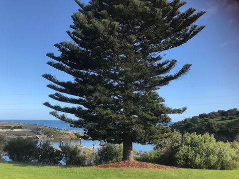 Penneshaw Oceanview Apartments - Accommodation Gold Coast 5