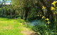 Greentrees Guest House - thumb 1