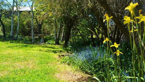 Greentrees Guest House - Accommodation Gold Coast 1