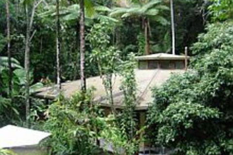 Daintree Deep Forest Lodge - Accommodation Gold Coast 4