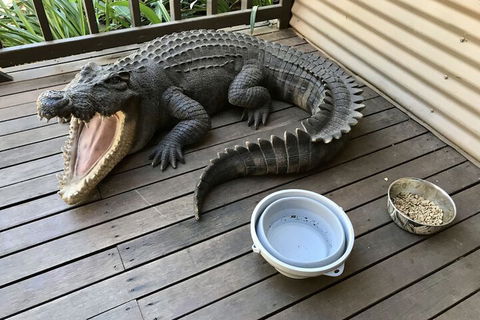 Kimberley Travellers Lodge - Hostel - Accommodation Gold Coast 4