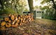 Cape Otway Cottages - thumb 0
