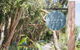 Haven Red Hill - thumb 0