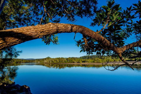 Reflections Holiday Parks Ferry Reserve - Accommodation Gold Coast 4