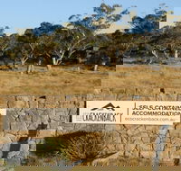 Ecocrackenback 13 'Sustainable chalet close to the slopes.' - Accommodation Gold Coast