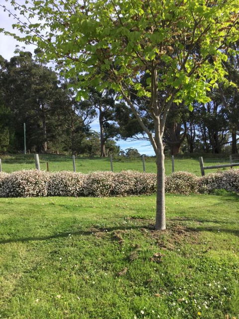 Nextdooratportarthur - Accommodation Gold Coast 3