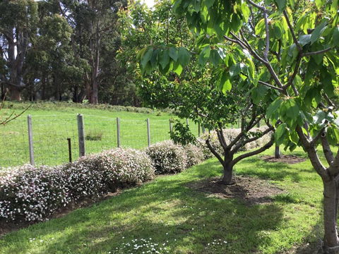 Nextdooratportarthur - Accommodation Gold Coast 1