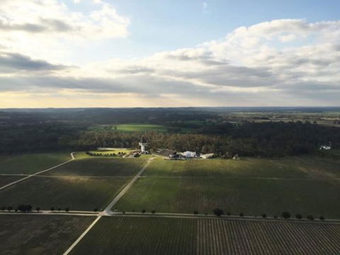 The Mitchelton Hotel Nagambie - MGallery By Sofitel - Accommodation Gold Coast 6