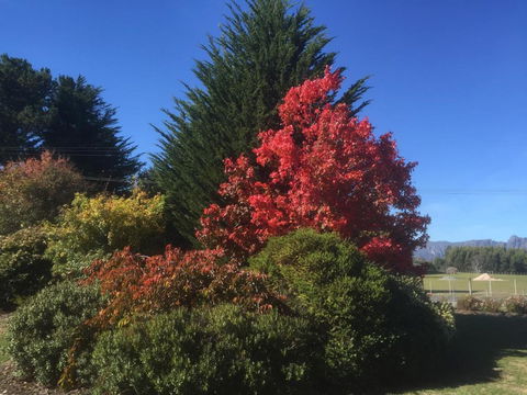 Highgrove - 1 Gold Coast 2