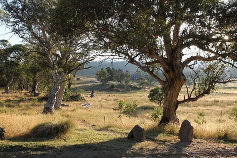 Ecocrackenback 5 'Sustainable Chalet Close To The Slopes - Accommodation Gold Coast 5