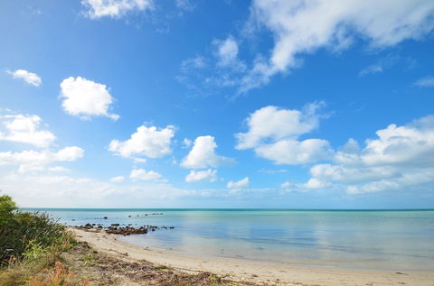 Halcyon Daze - Accommodation Gold Coast 3