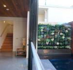 Stella on Stevens - Accommodation Gold Coast