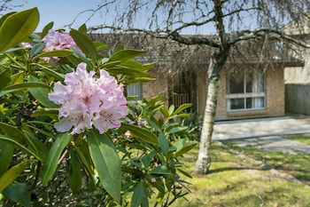 Wentworth Rose - Accommodation Gold Coast 0