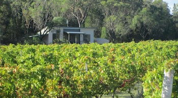 Just Red Wines Vineyard Cabins - Accommodation Gold Coast 3