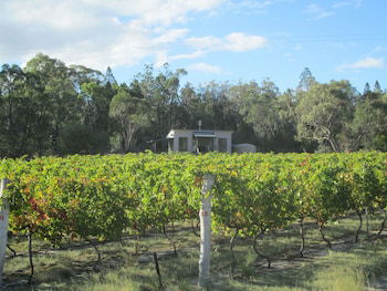 Just Red Wines Vineyard Cabins - Accommodation Gold Coast 5