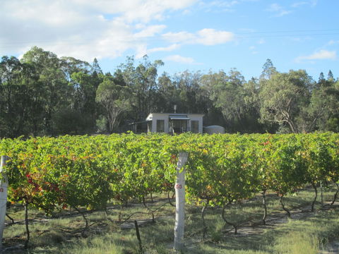Just Red Wines Vineyard Cabins - Accommodation Gold Coast 6