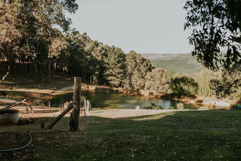 Nannup Hideaway - Accommodation Gold Coast 6