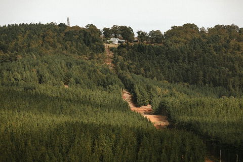 Nannup Hideaway - Accommodation Gold Coast 4