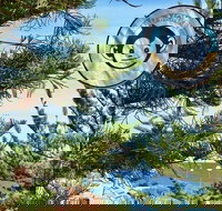 Mad Monkey Coogee Beach Hostel