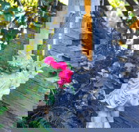 Chatelaine Valley Views - Accommodation Gold Coast