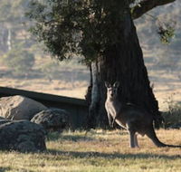 Ecocrackenback 2 Sustainable chalet close to the slopes. - Accommodation Gold Coast