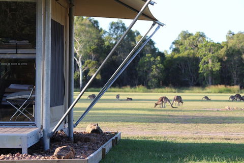 Habitat Noosa - Accommodation Gold Coast 3