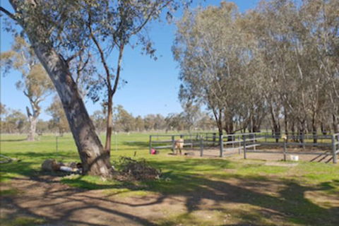 Jindera Park - Accommodation Gold Coast 2