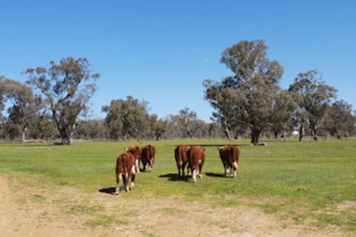 Jindera NSW Accommodation Gold Coast