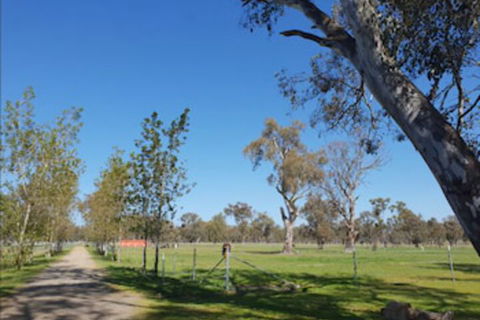 Jindera Park - Accommodation Gold Coast 1