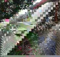 The Glen Family House - Accommodation Gold Coast