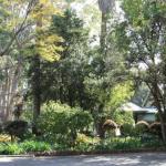 Two Sisters Chalets - Gold Coast 4U 1