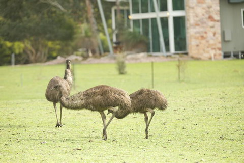 Ironstone Romantic Couples Retreat - Accommodation Gold Coast 1