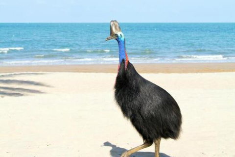 Kirrama 3 - Accommodation Gold Coast 4