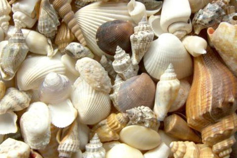 Kirrama 3 - Accommodation Gold Coast 2