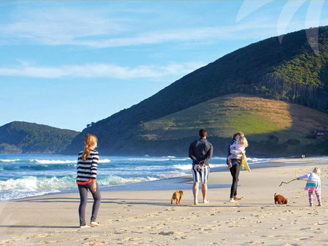 True Blue - 1 Gold Coast 3