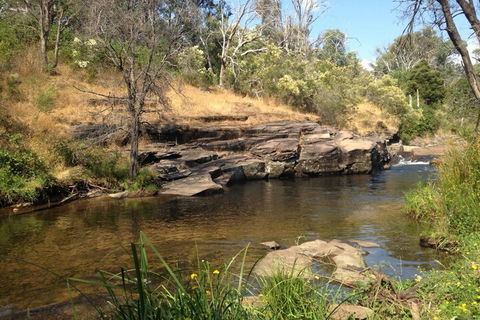 Eagles Nest - Accommodation Gold Coast 3