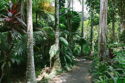 Sanctuary In The Pocket - Gold Coast 4U 3