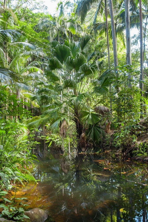 Sanctuary In The Pocket - Gold Coast 4U 1