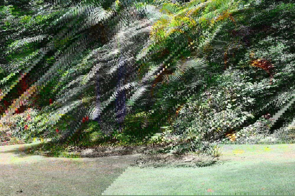 The Pocket NSW Gold Coast 4U