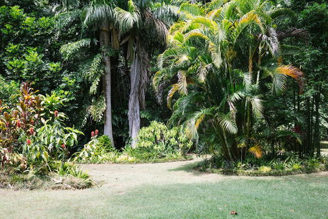 Sanctuary In The Pocket - Gold Coast 4U 0