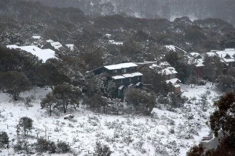 Three Bears 2 - Accommodation Gold Coast 1