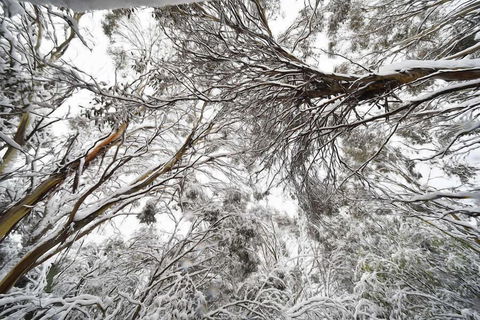 Powder 2a - Accommodation Gold Coast 0