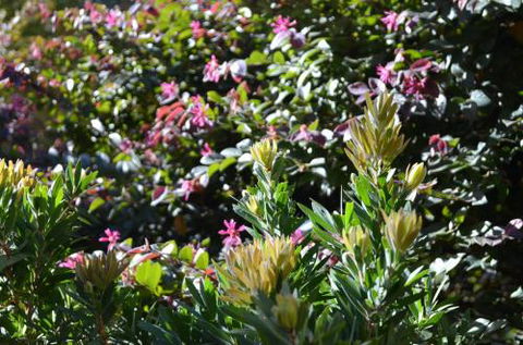 A Bach At Bright Bright VIC - Accommodation Gold Coast 4