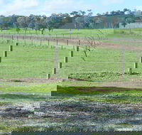 Yea Woodduck Cottage - Accommodation Gold Coast